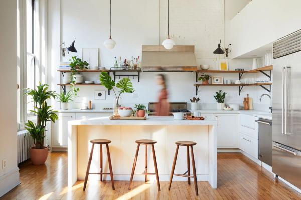 Plants for Your Kitchen