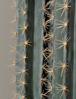 Faux Floor Cactus