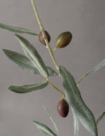Faux Olive Branches Trio