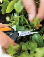Micro-Tip® Pruning Snips