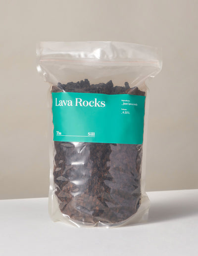 Organic Lava Rocks