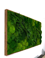 Large Preserved Living Wall 68" x 33"