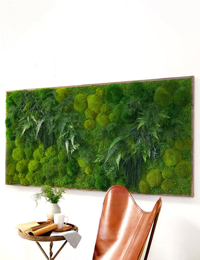 Large Preserved Living Wall 68" x 33"