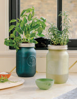 Garden Jar Duo, Basil + Parsley