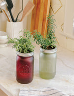 Garden Jar Duo, Basil + Cilantro