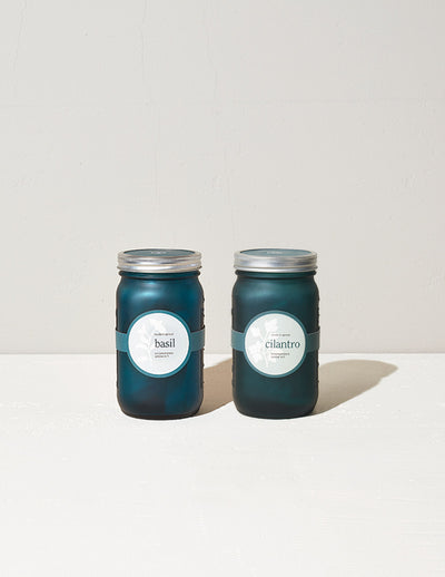 Garden Jar Duo, Basil + Cilantro