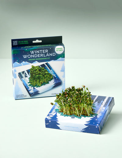 Winter Wonderland Microgreens Kit